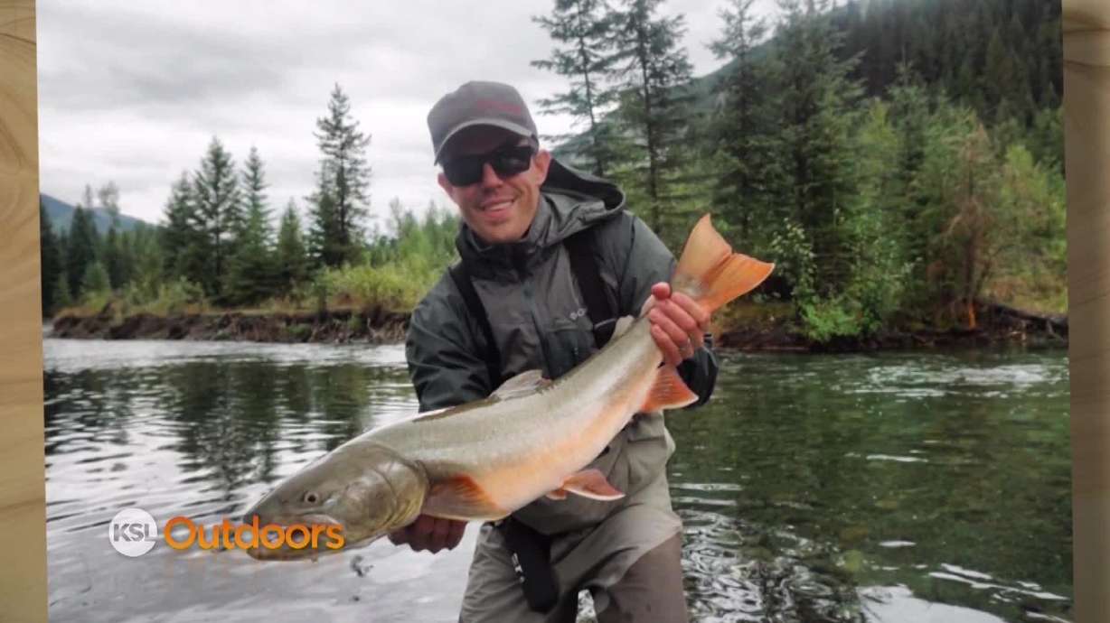 Snapshot of the Week: Oct. 3, 2015