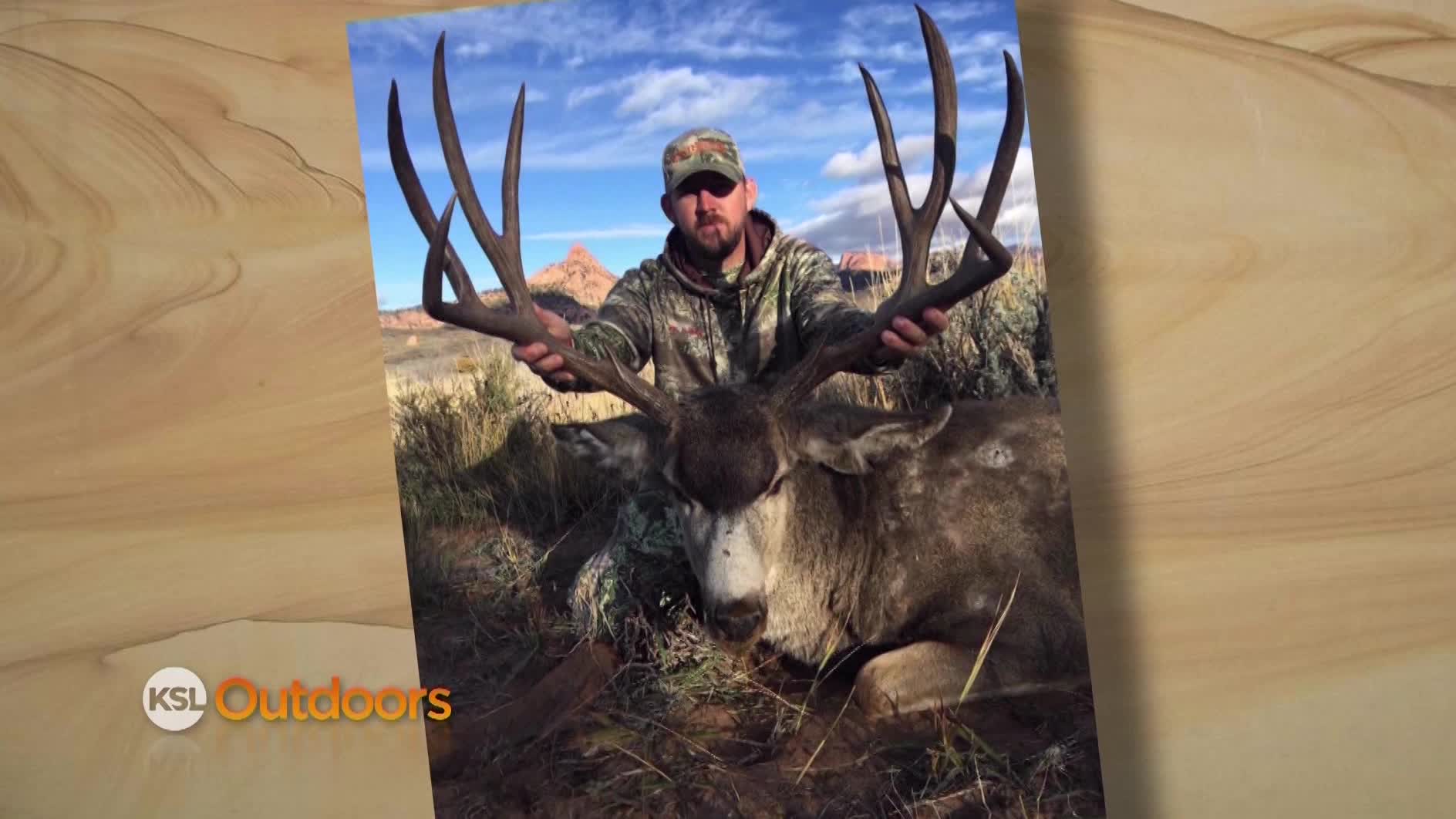Snapshot of the Week: Dec. 6, 2015
