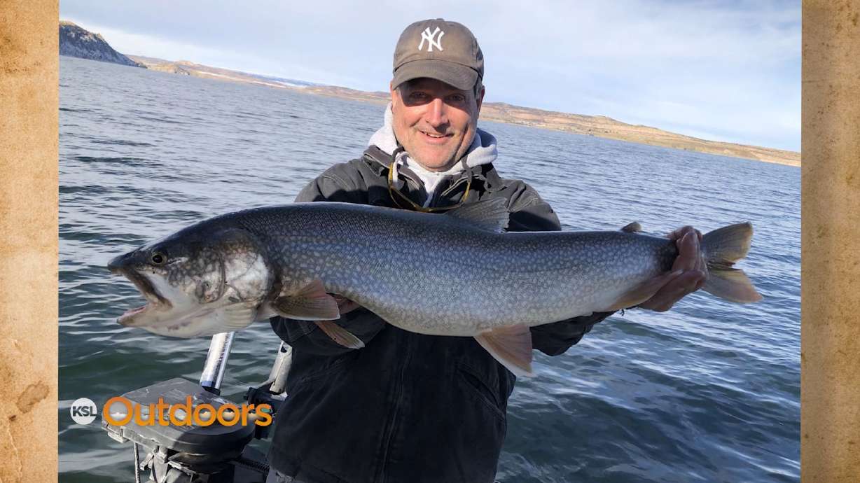 Snapshot of the Week: January 5th, 2019
