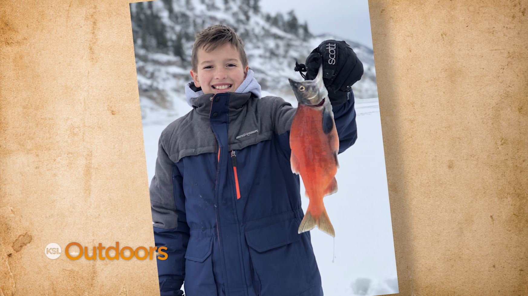 Snapshot of the Week: January 19, 2019
