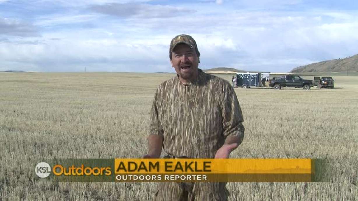 Idaho Goose Hunt