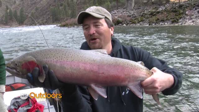 Fishing for Idaho Steelhead trout