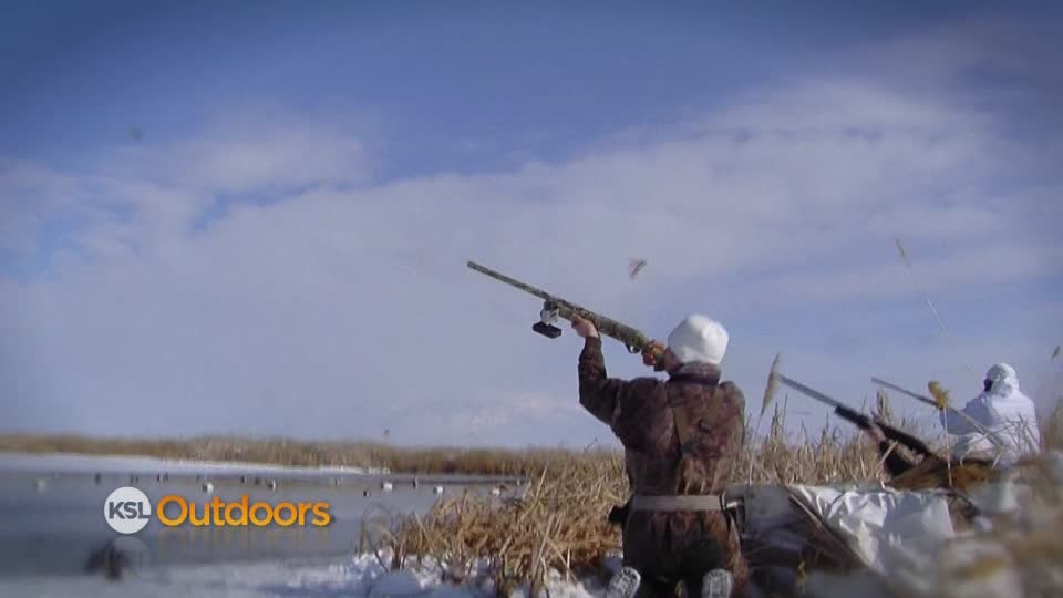 KSL Outdoors: Duck hunting with the Avery Youth Field Staff