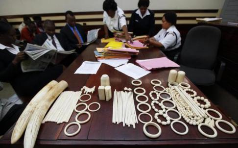 International outrage grows over $340 fine for ivory poachers