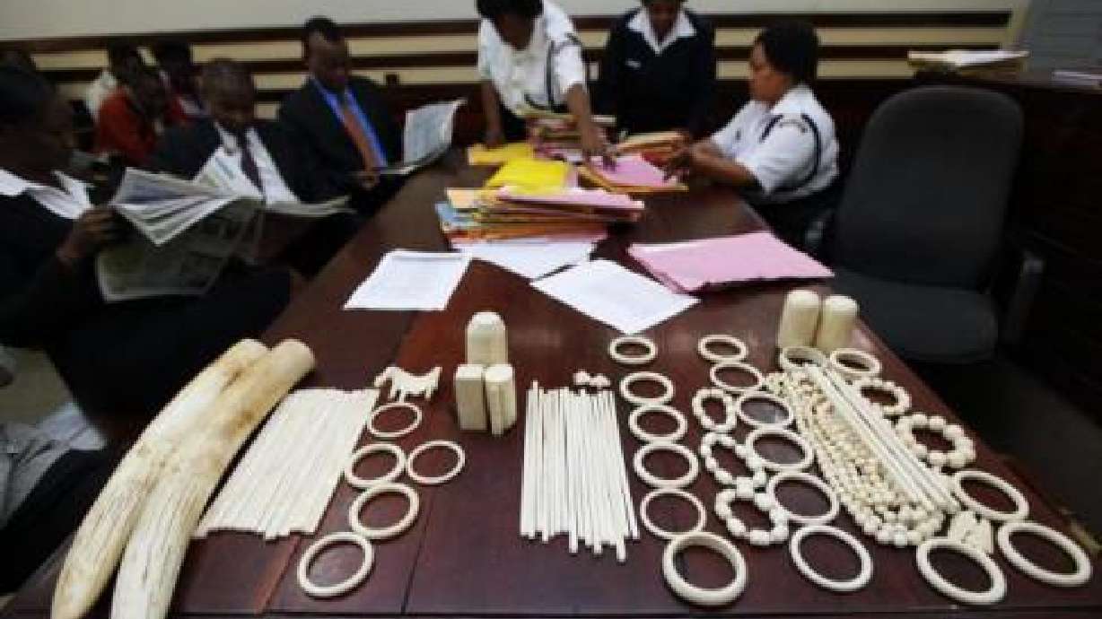 International outrage grows over $340 fine for ivory poachers