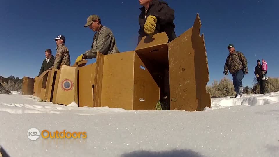 KSL Outdoors: Turkey release in the Book Cliffs
