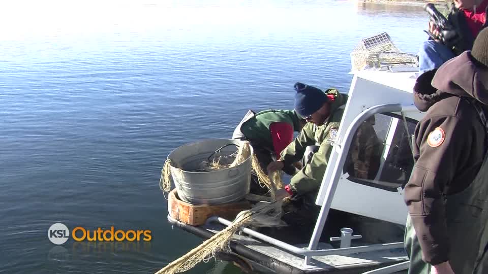 KSL Outdoors: 2013 Burbot Bash
