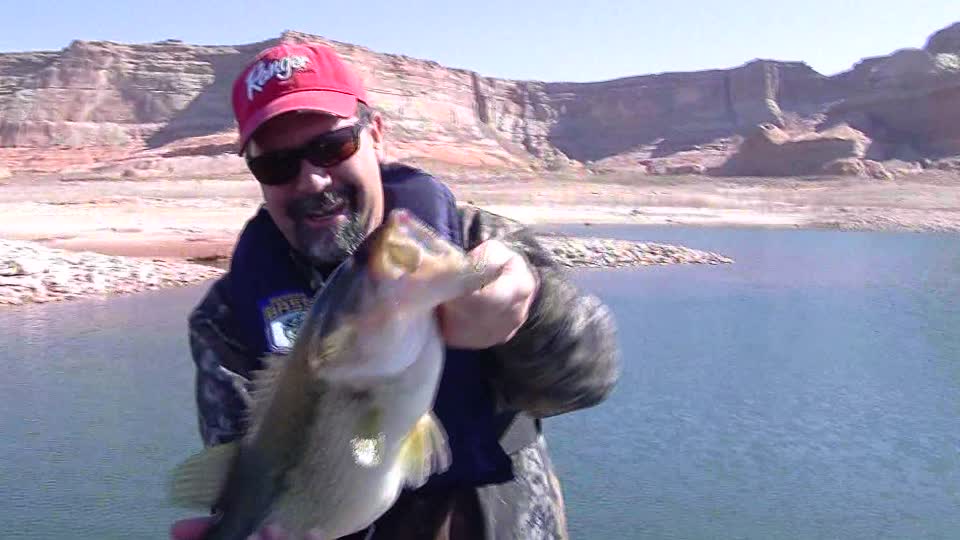 KSL Outdoors: Fishing Lake Powell for striped bass