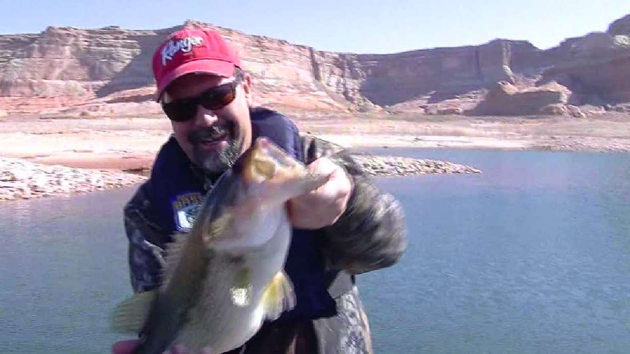 KSL Outdoors: Fishing Lake Powell for striped bass