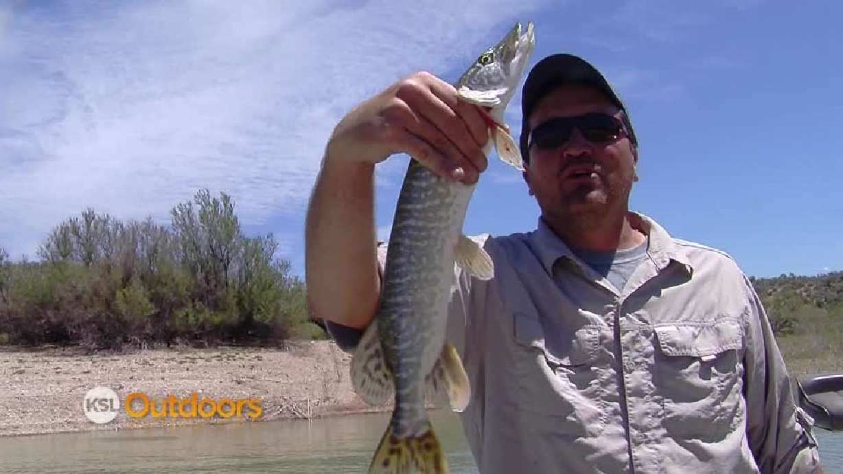 KSL Outdoors: Catching Northern Pike at Yuba Reservoir
