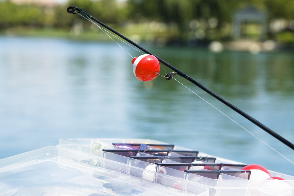 DWR proposes cheaper youth fishing license, other changes