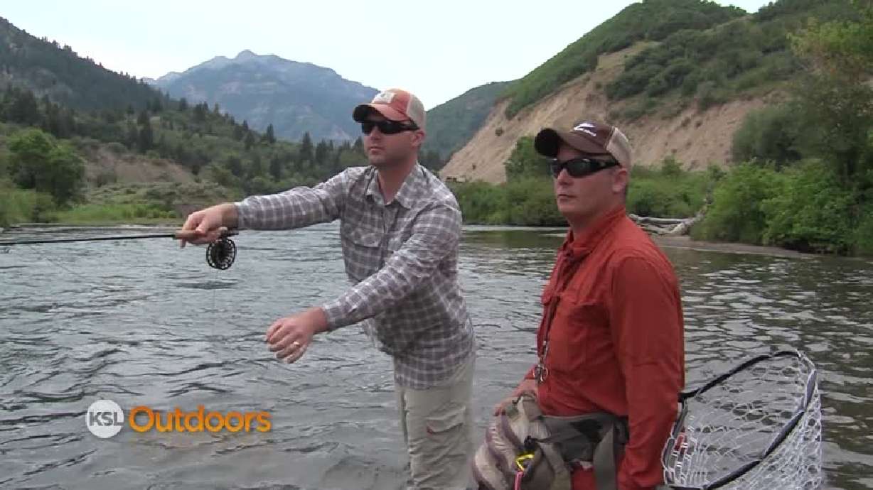 KSL Outdoors: Fly fishing the Provo River