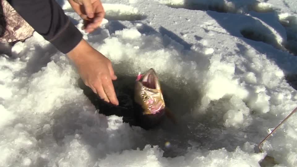 KSL Outdoors: Ice fishing for tiger trout, cutthroats at Scofield Reservoir