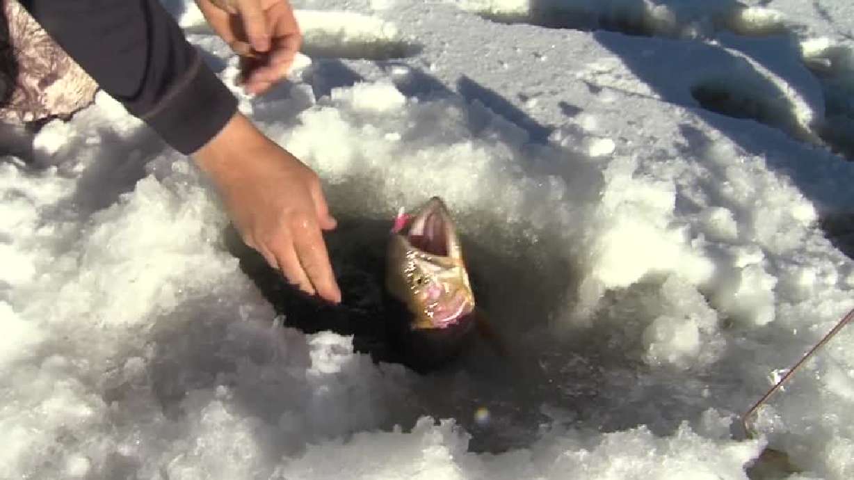 KSL Outdoors: Ice fishing for tiger trout, cutthroats at Scofield Reservoir