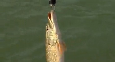 KSL Outdoors: Yuba Reservoir