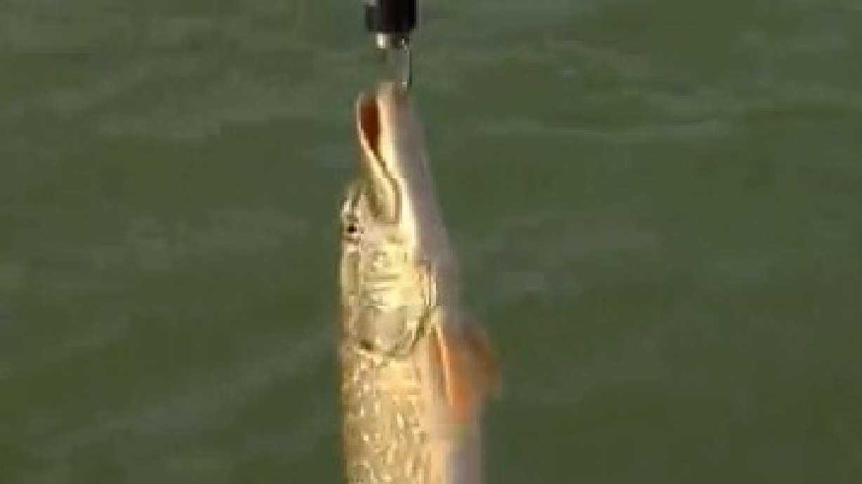 KSL Outdoors: Yuba Reservoir