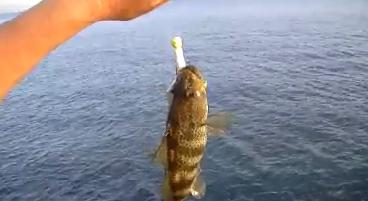 KSL Outdoors: San Diego