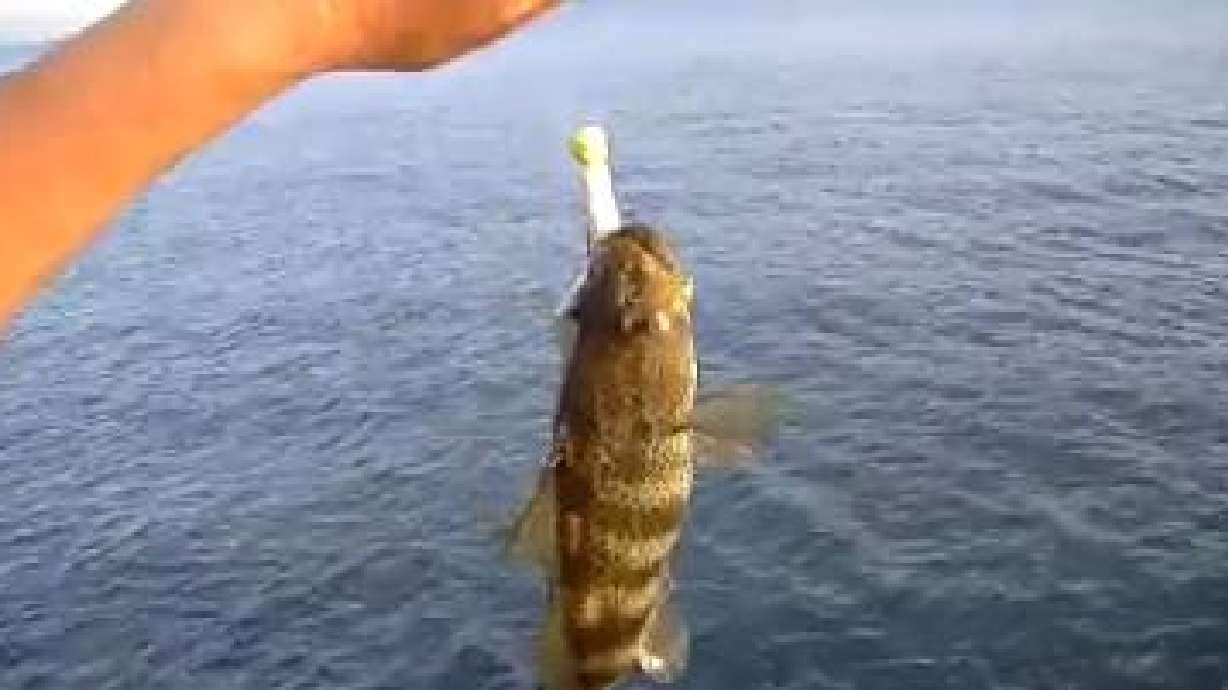 KSL Outdoors: San Diego