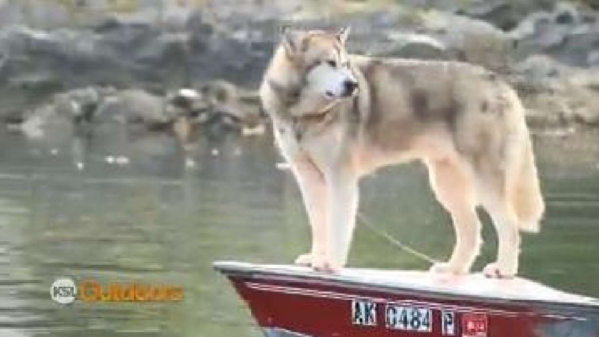 KSL Outdoors: Alaska, Part 2