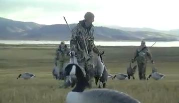 KSL Outdoors: Goose Gone Wild