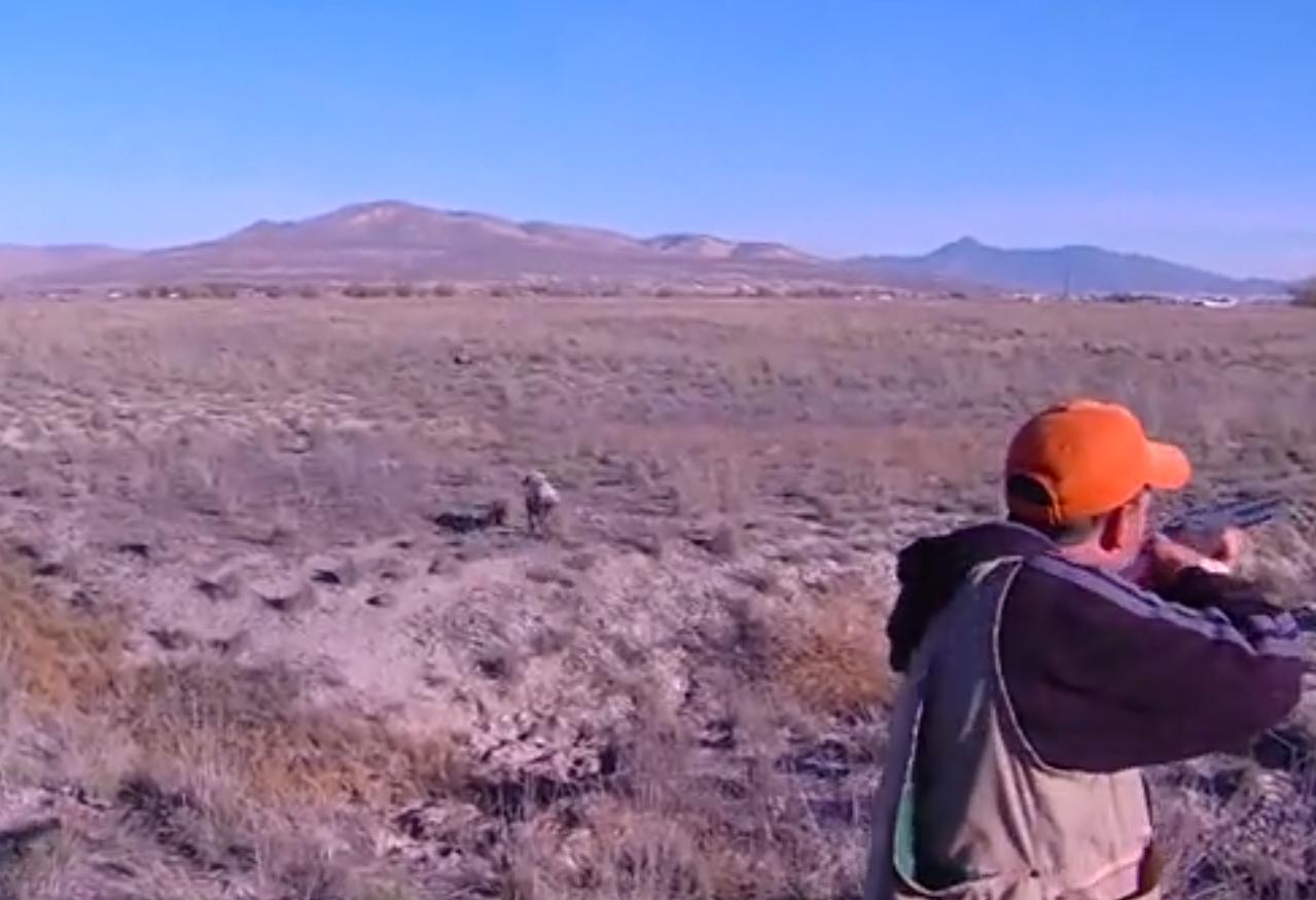 KSL Outdoors: Pheasant Hunt