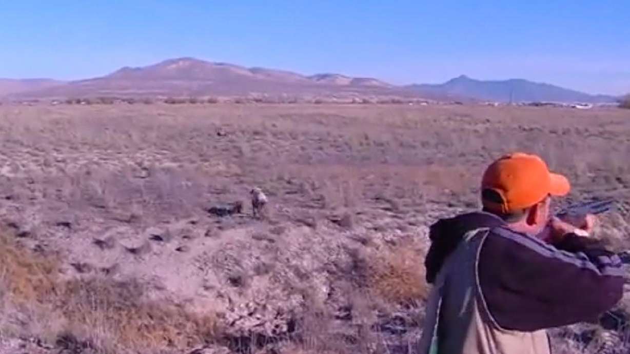 KSL Outdoors: Pheasant Hunt