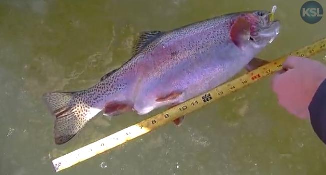 KSL Outdoors: Diamond Mountain