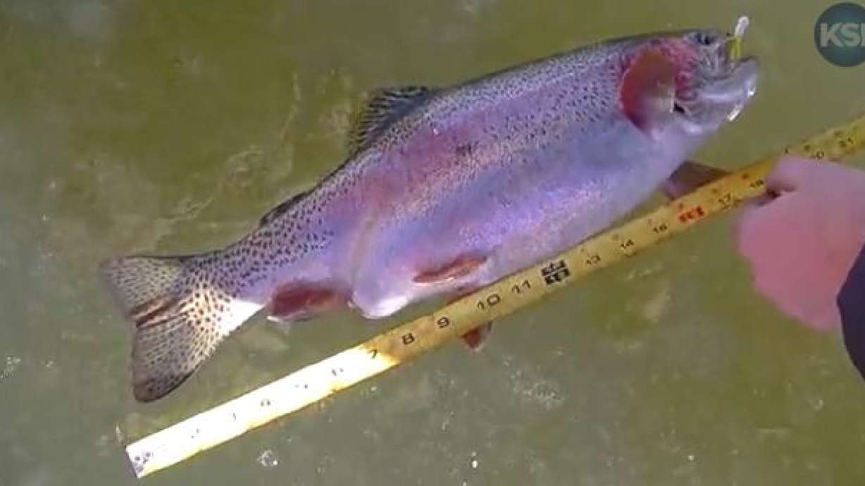 KSL Outdoors: Diamond Mountain