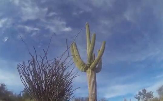 KSL Outdoors: The Sonora Desert