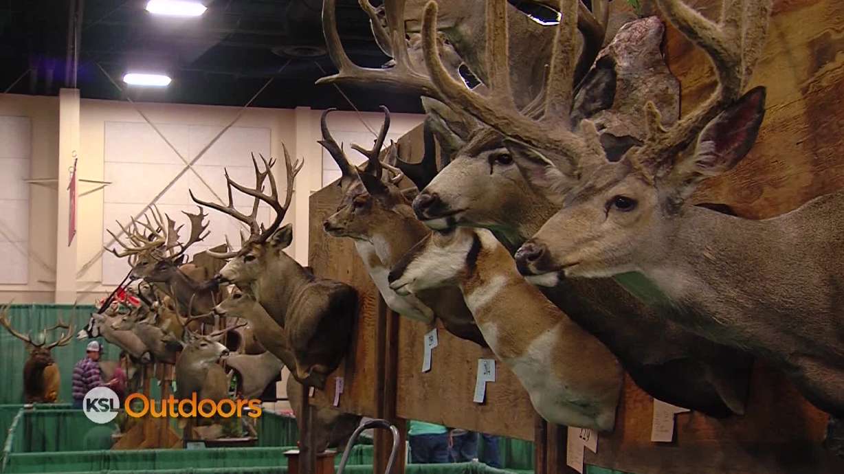 KSL Outdoors: International Sportsman's Expo