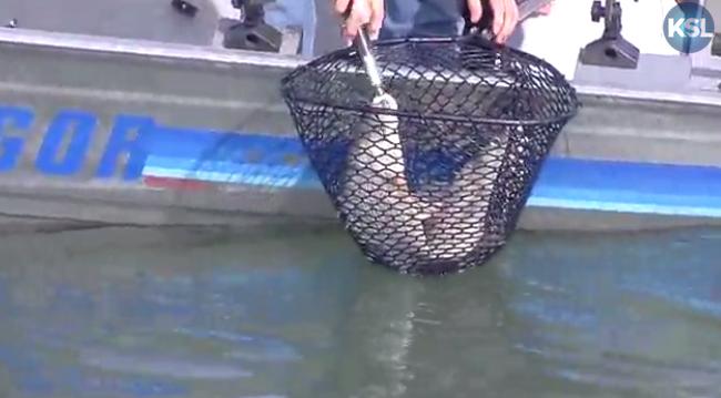 KSL Outdoors: Willard Wipers