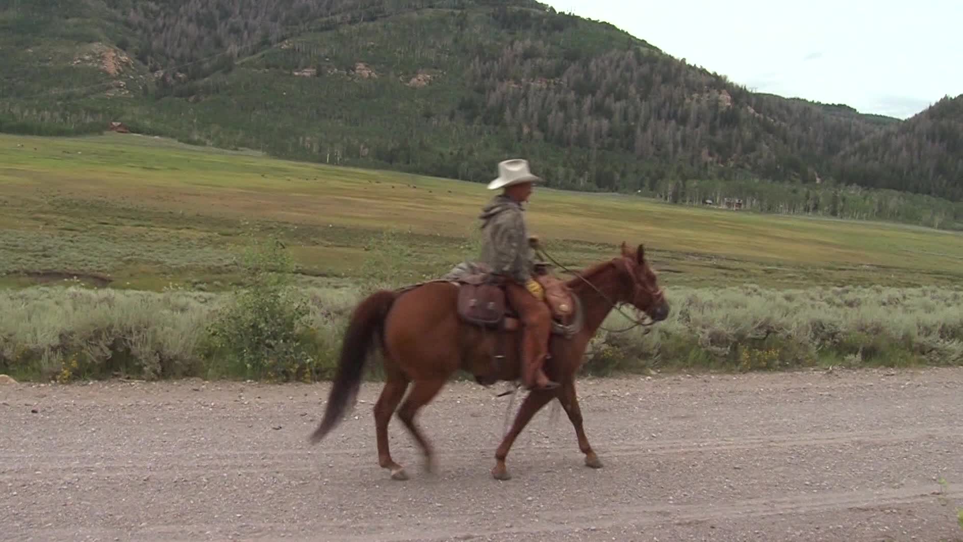 KSL Outdoors: Backcountry Horseman of Utah