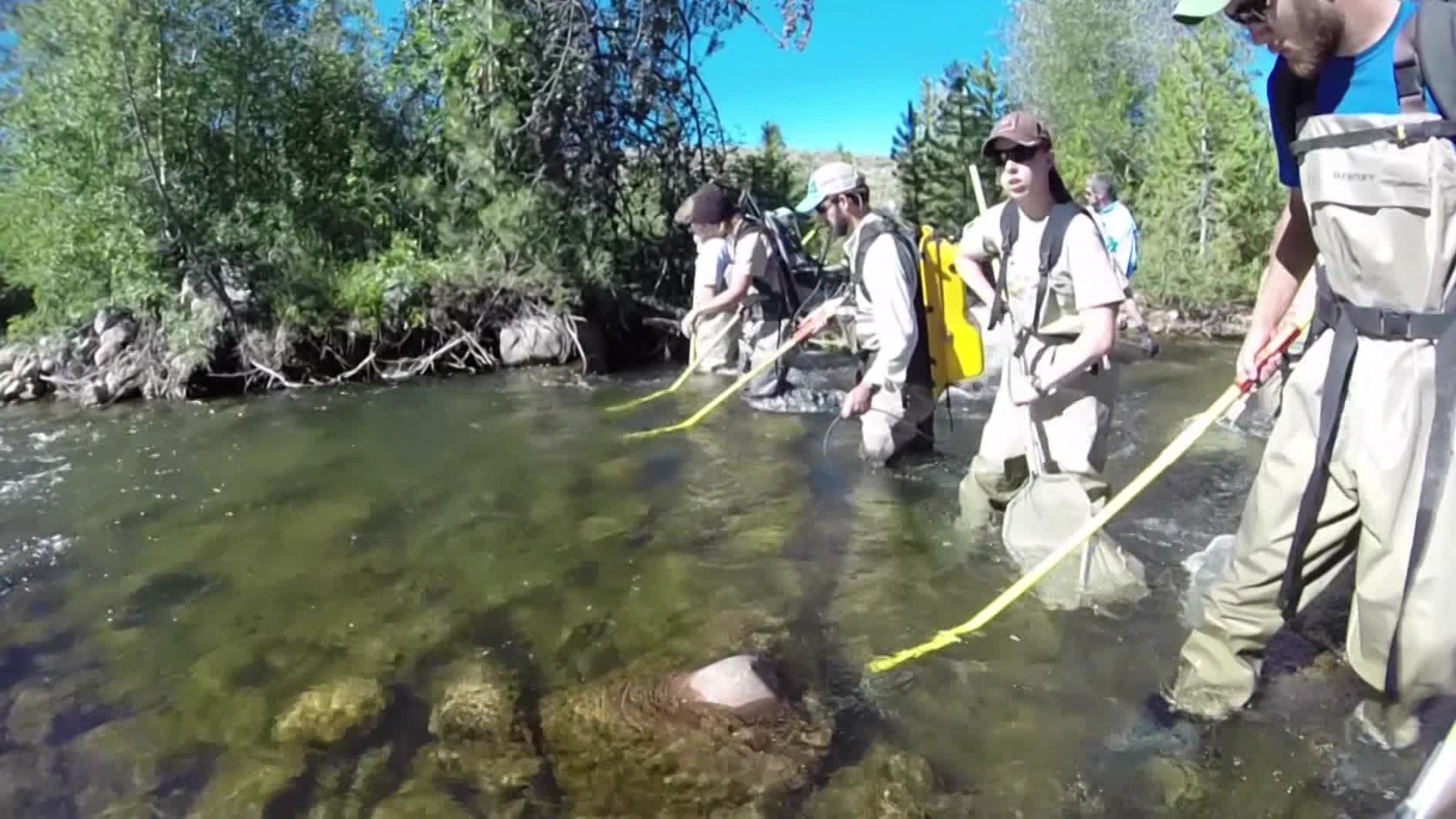 KSL Outdoors: East Fork of Bear River