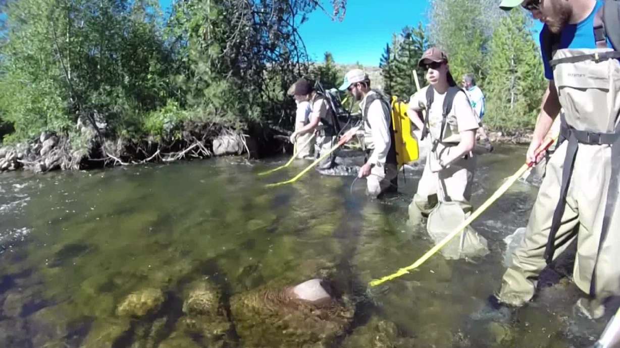 KSL Outdoors: East Fork of Bear River