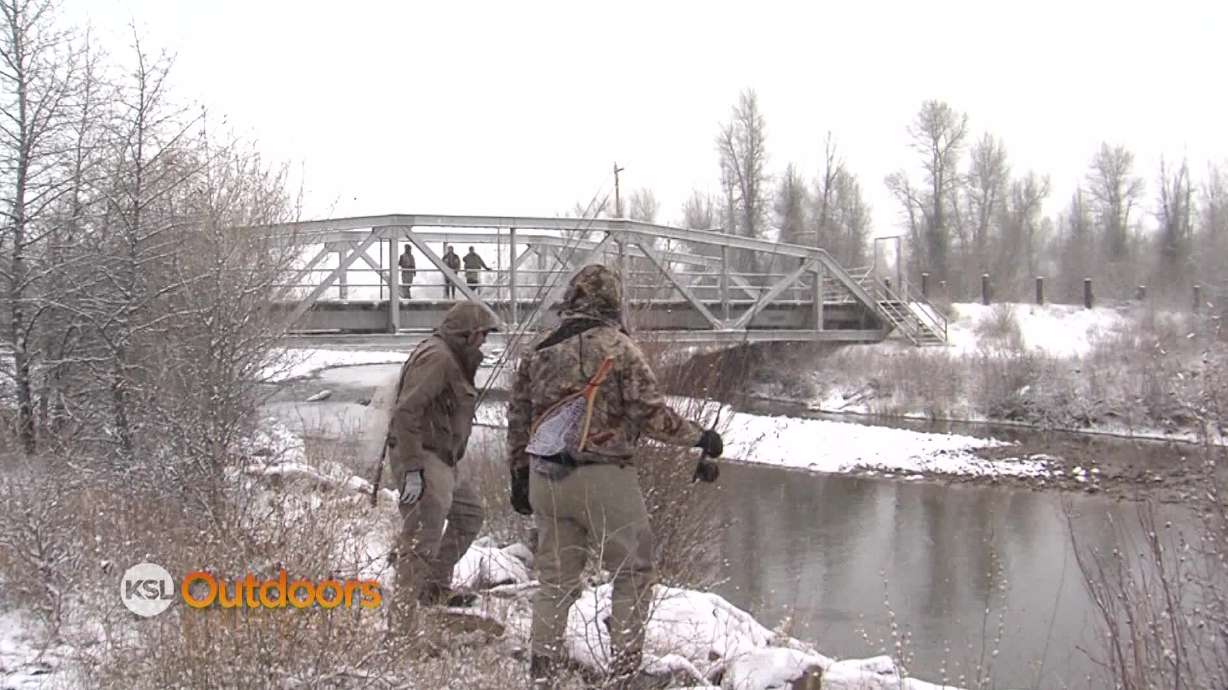 KSL Outdoors: Bear River State Park