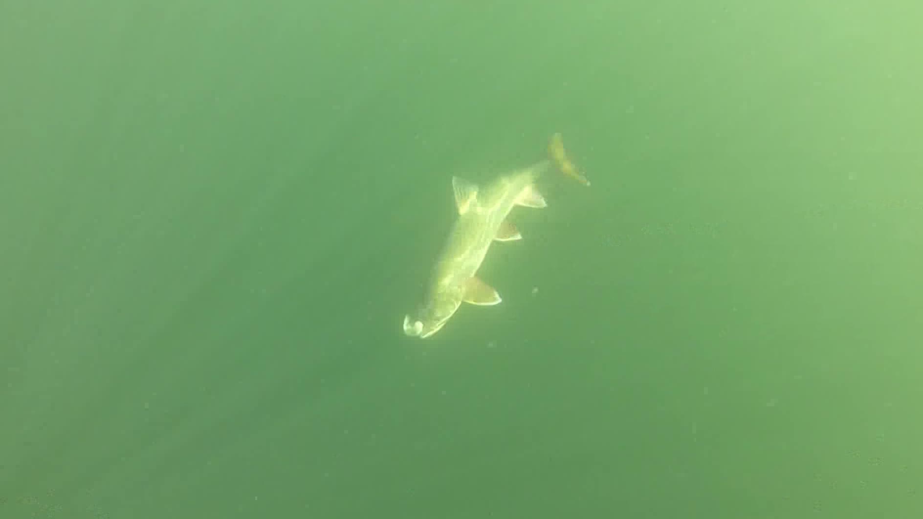 Best of KSL Outdoors: 2015
