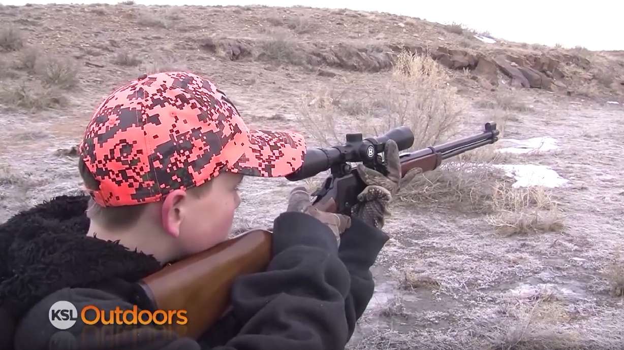 Cottontail Rabbit Hunt
