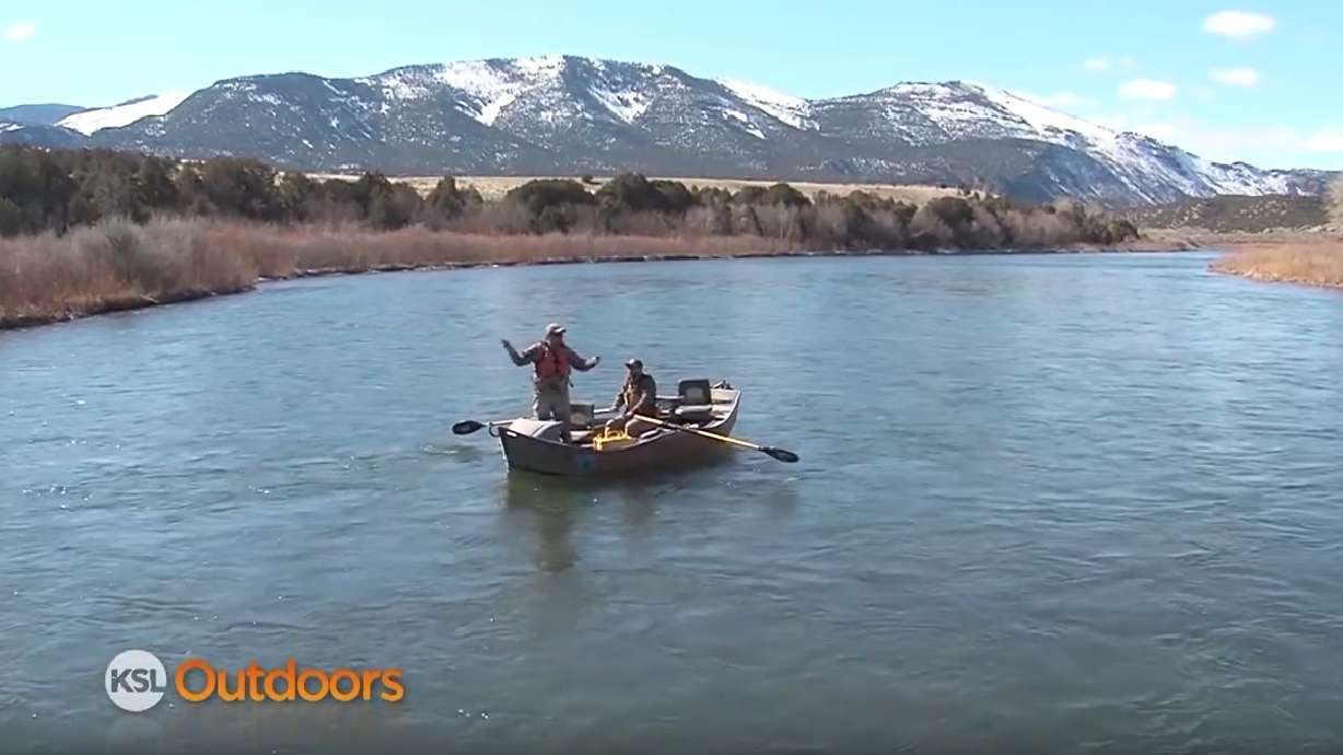 Fly fishing the Upper Green River