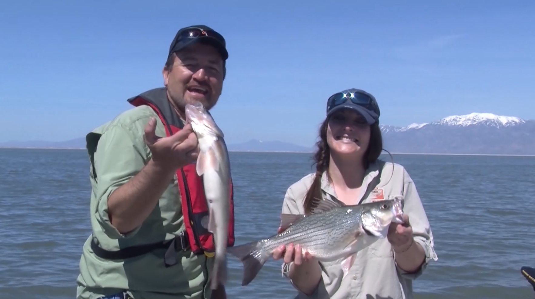 Willard Bay wipers, walleye and crappie