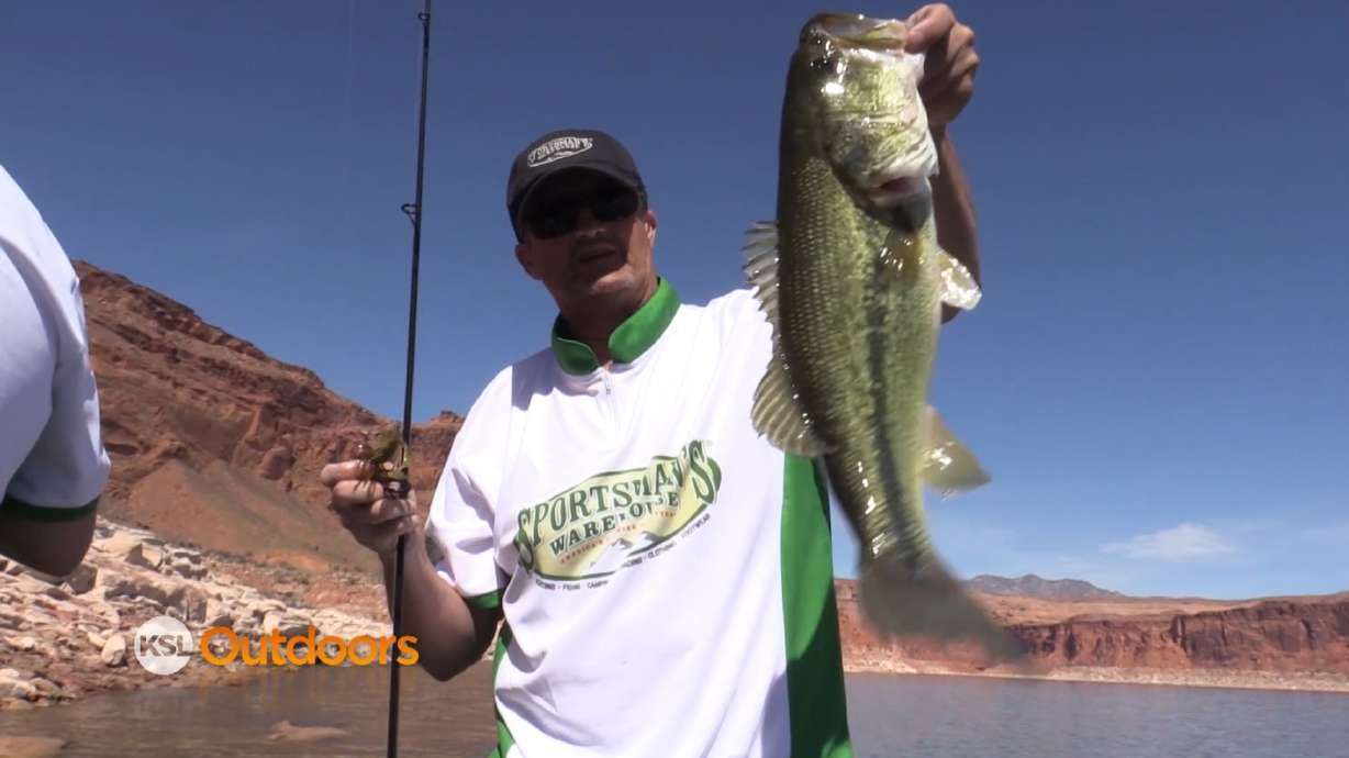 Spring fishing at Lake Powell