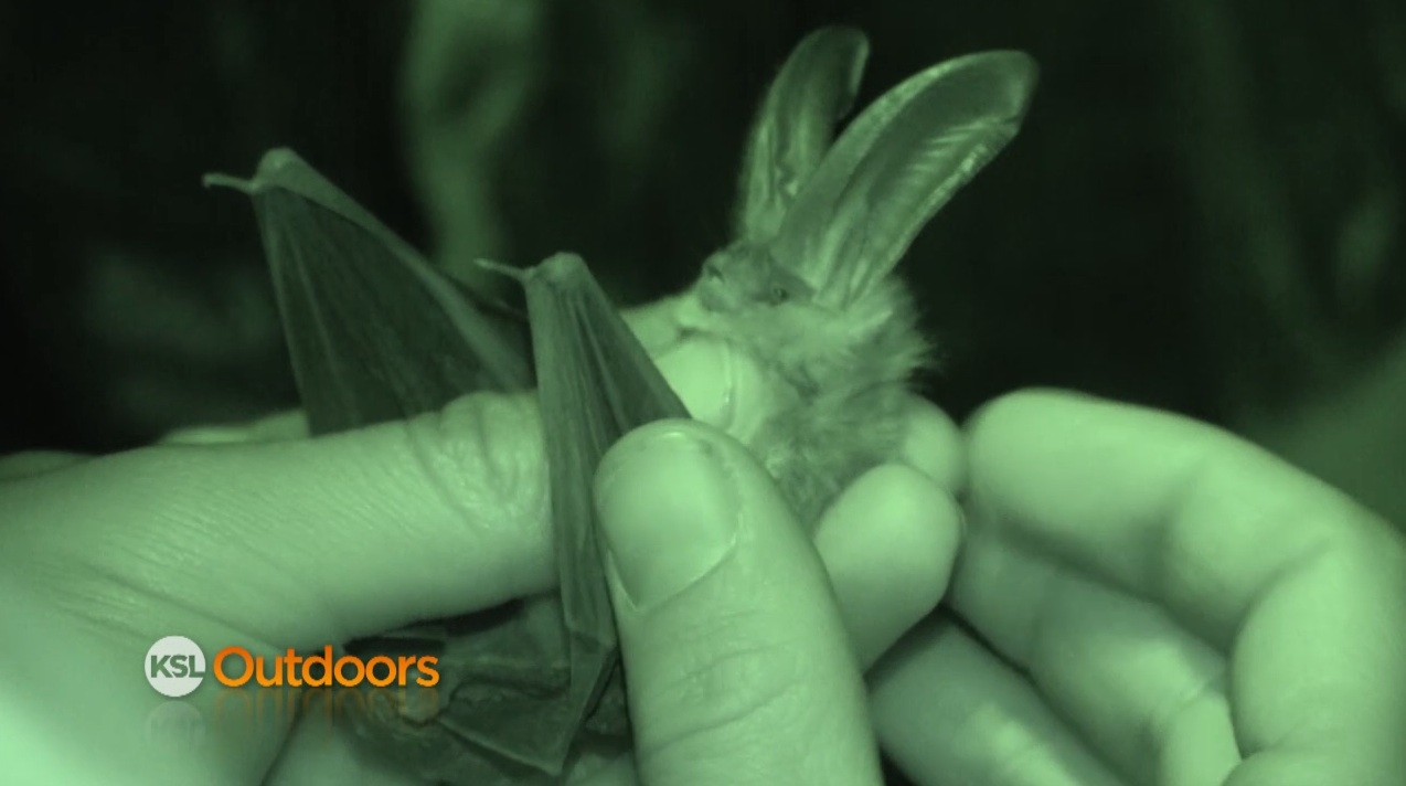 Division of Wildlife Resources Projects around Utah