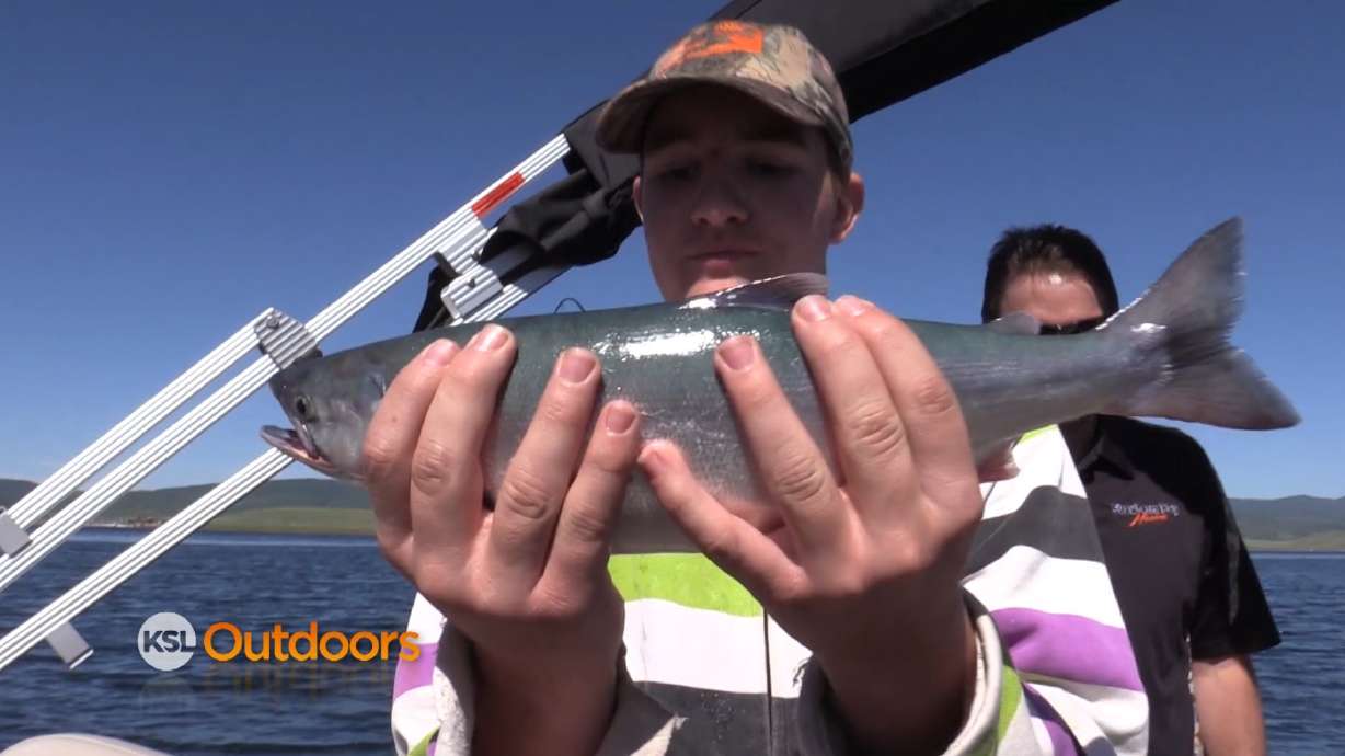 Kokanee Fishing at Strawberry Reservoir with Wednesdays Child
