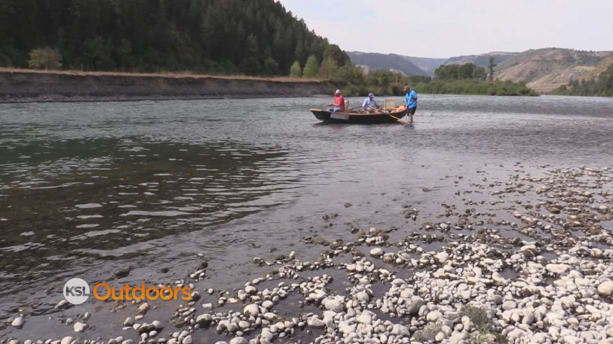 Warriors Afield on the South Fork Snake River