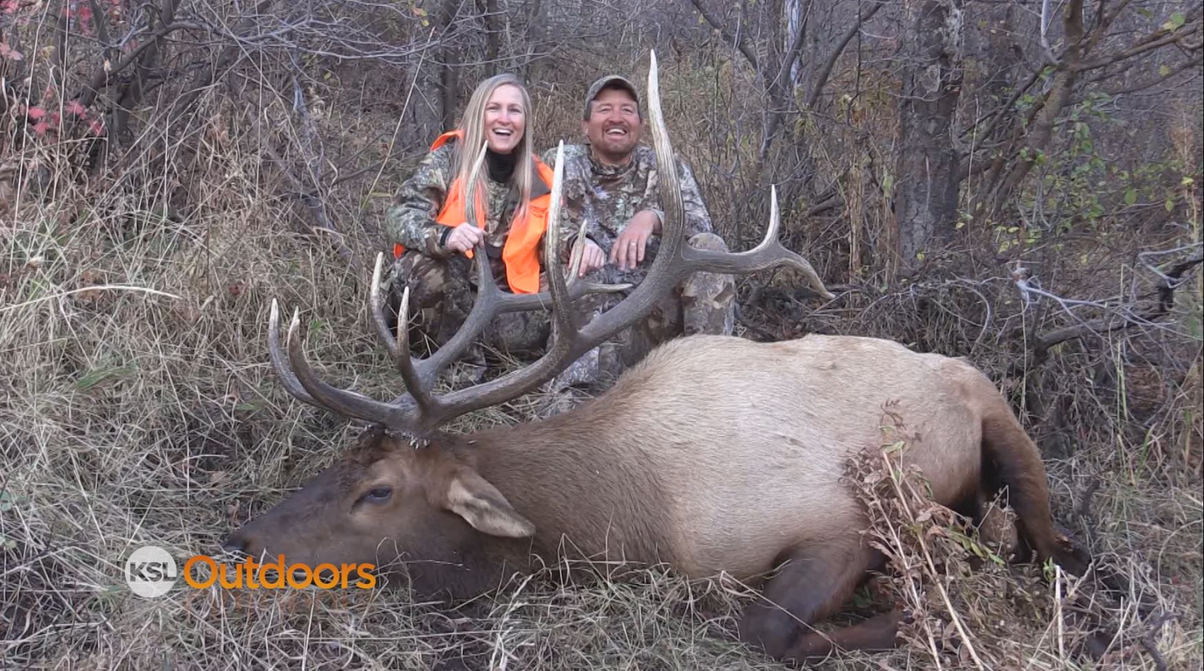 Trophy Bull Elk Hunt with the Wife on Northern Utah CWMU
