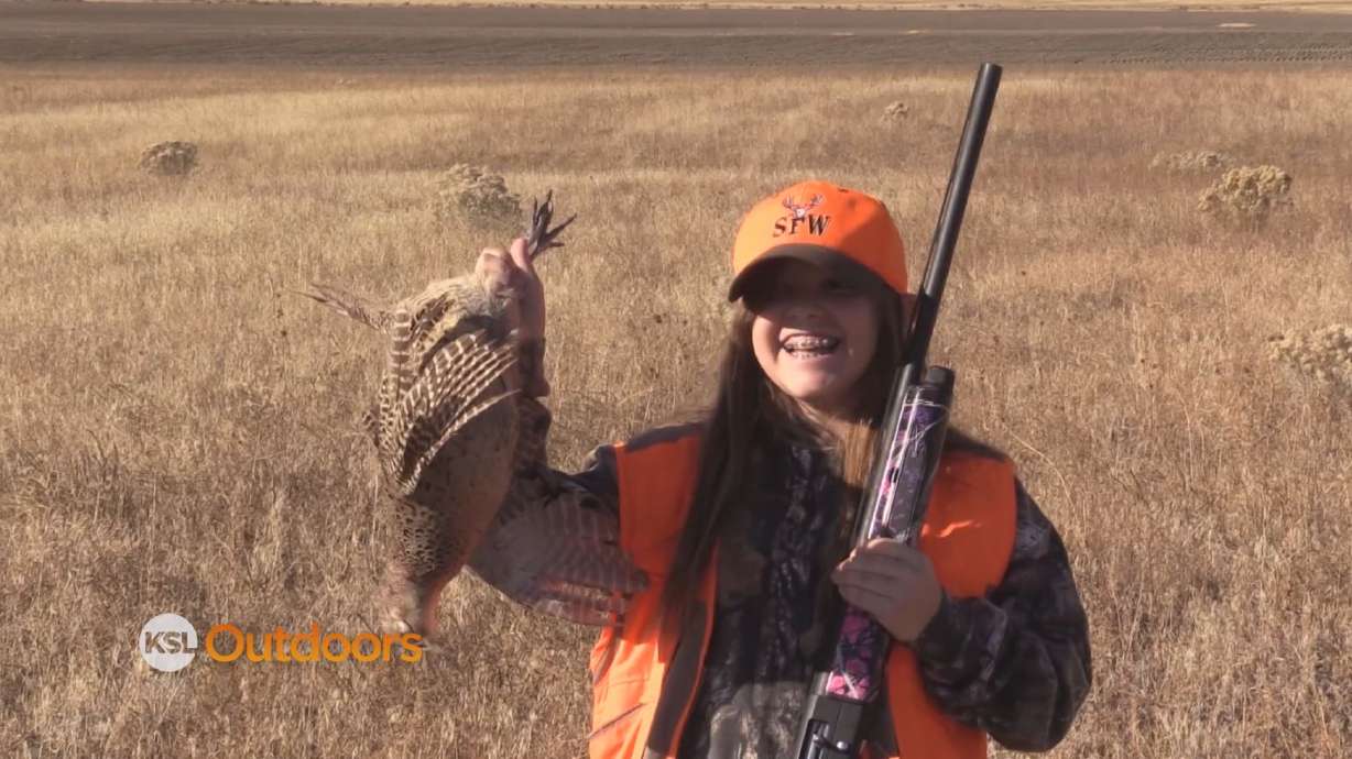 Safari Club International Youth Pheasant Hunt and 25 Hours in Frog Hollow