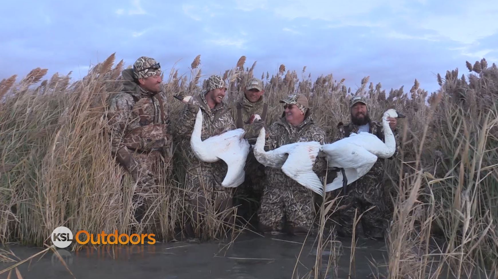 Swan Hunting on the Great Salt Lake