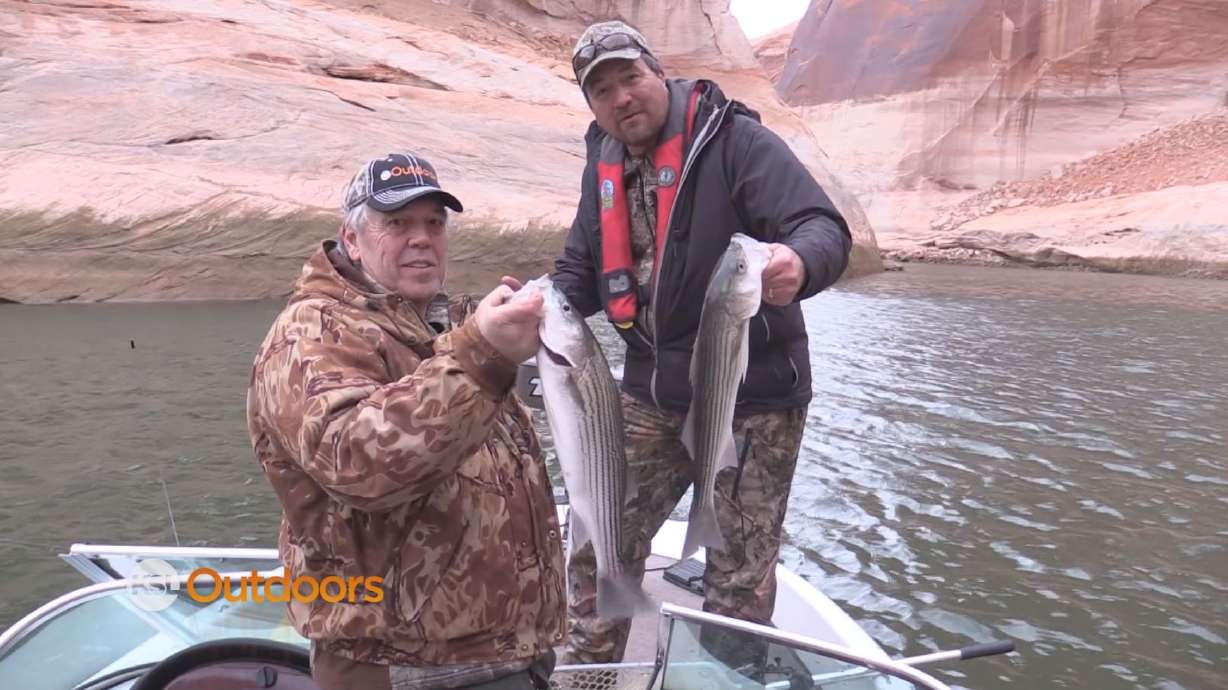 Winter Fishing for Striped Bass at Lake Powell