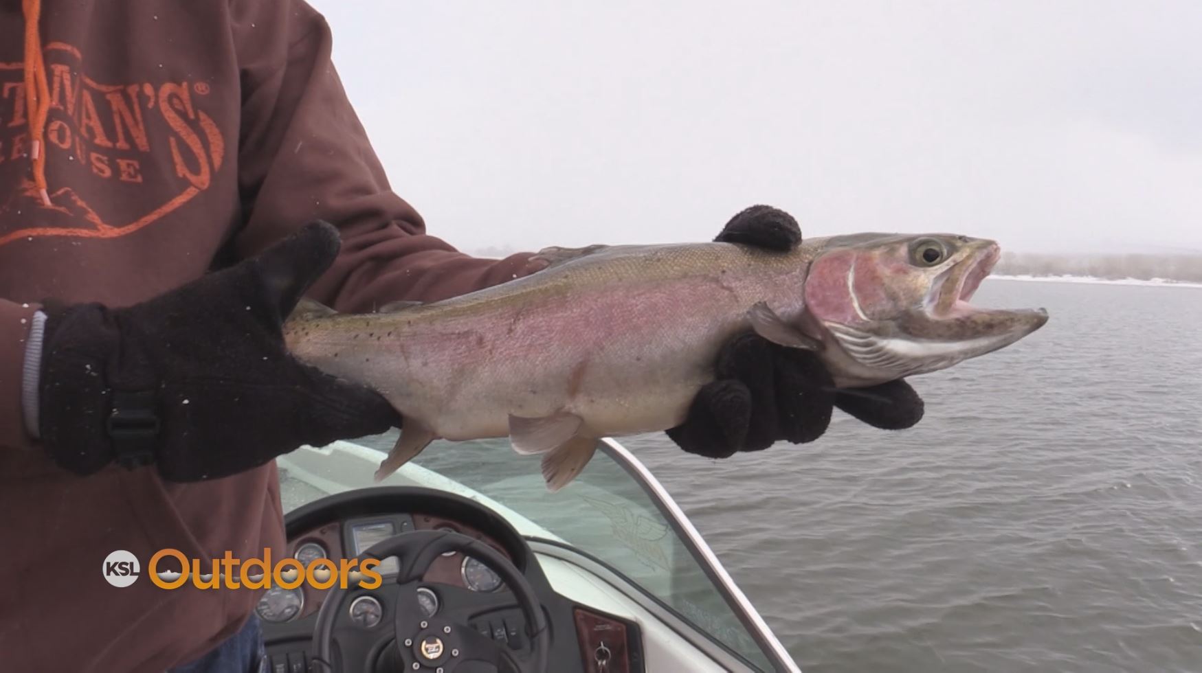 Fishing for Big Rainbows at Minersville Reservoir