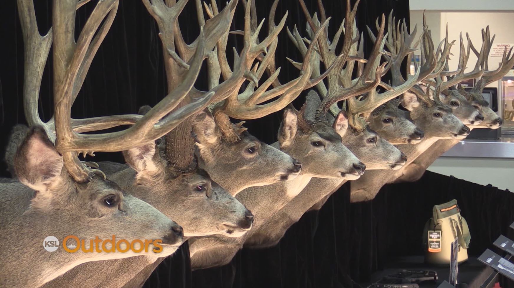 2017 International Sportsmen's Expo Highlights