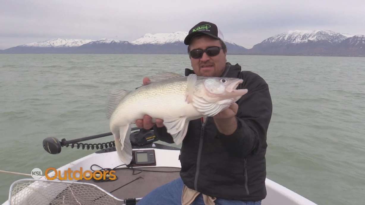Fishing for Big Walleye at Utah Lake